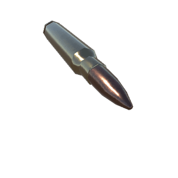 5,56 x 45 mm NATO Round_1_2